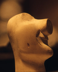 Pig nose