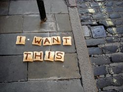 toast3.jpg