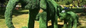 9340_elephants