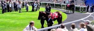 9355_Ascot04 9355_Ascot04