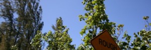 9393_green070708