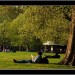 9465_Hyde_Park_reading 9465_Hyde_Park_reading