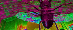 9478_1507.bug 9478_1507.bug