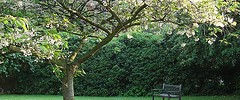 9507_1607.garden 9507_1607.garden