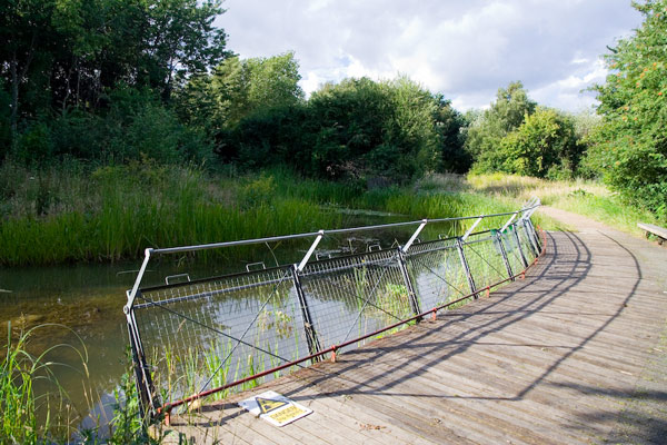 Gillespie Park
