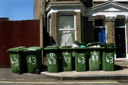 0408_bins.jpg