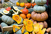 9702_gourds
