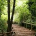 9820_camley_street_trail