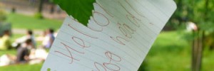 9872_hellopoohead