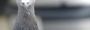 9917_2208.ee