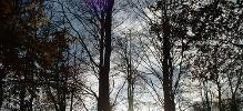 9944_2708_hainault