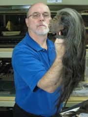 Edward_Meyer2.jpg