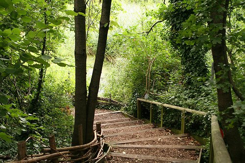 camley_street_trail.jpg