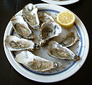 Plate of oysters