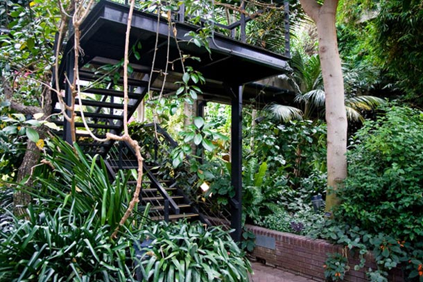 Barbican Conservatory