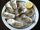 10016_0309_oysters