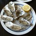10016_0309_oysters 10016_0309_oysters
