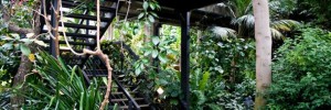 10032_0409_natureist 10032_0409_natureist