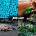 10056_populist0709 10056_populist0709