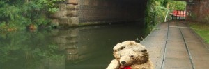 10141_Canalbear