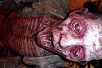 10202_Dieing_to_see_usthumb