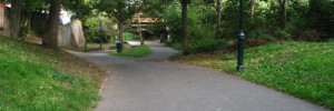 10219_DSCF1029
