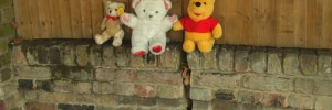 10314_Bearsonawall
