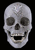 skull.jpg