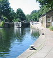 Regents Canal towpath