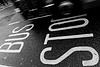 10462_2905709546_e6ee910bdf_t