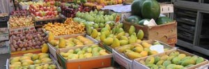10521_fruit