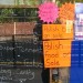 10606_Ploish 10606_Ploish