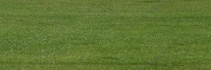 10660_2810.ee 10660_2810.ee