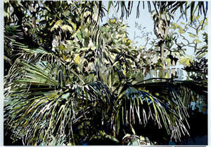 OasisofMora022007165x225cm.jpg