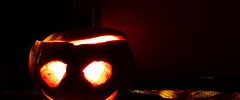 10714_1810255085_3671cb41ae_m