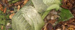 10727_ducrowsgrave 10727_ducrowsgrave