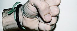 10733_0411_fist
