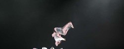 10840_Boy-Blue_BL6-High-res