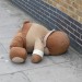 10851_teddydeady 10851_teddydeady