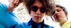 10854_wombats 10854_wombats