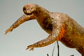 10946_Proavis_Wax_Model_04