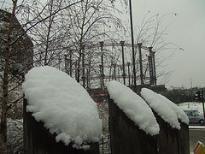 0312.snow.jpg