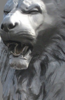 051208lion.jpg