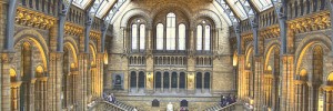 11009_0112.ee