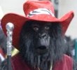 11027_0312_gorilla