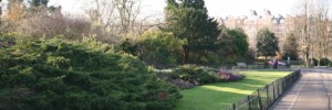 11131_wintergarden