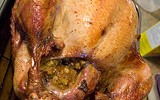 11246_turkey