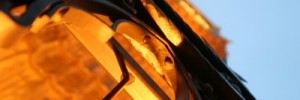 11310_bigben010109