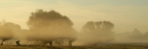 11312_0109.ee
