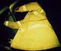 11365_High_Vis_7Jan09
